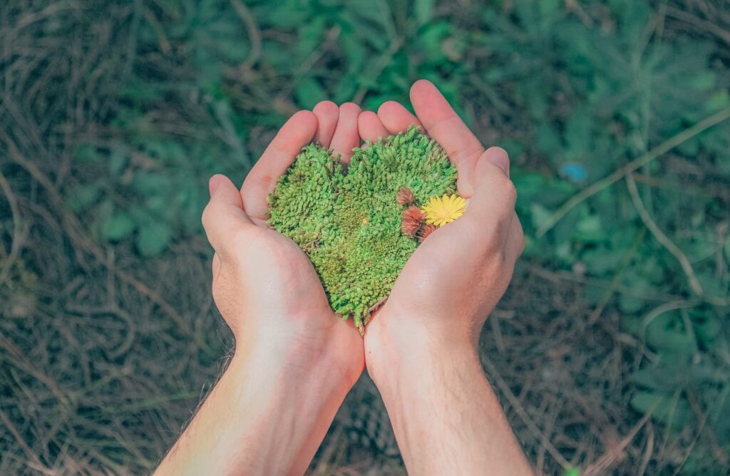 CSR dan Inovasi Hijau: Pendorong Solusi Berkelanjutan dan Keunggulan Kompetitif